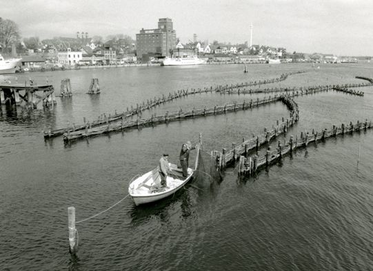 Fischerei am Heringszaun in Kappeln an der Schlei