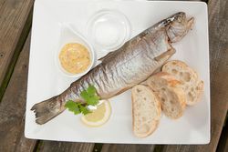 Fischgericht in Odins Gasthaus in Haddeby