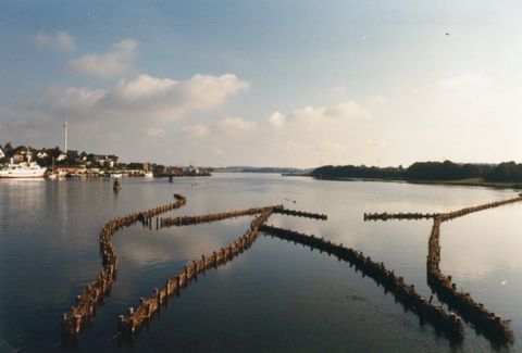 Heringszaun Sommer 1981
