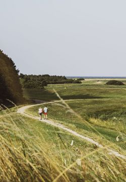 wanderweg-maasholm-kieschke