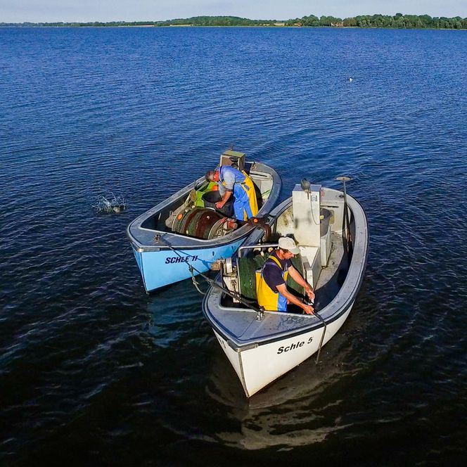 Fischer in Boknis auf der Schlei