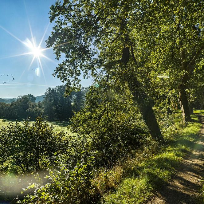 Wanderweg am Welterbe Haithabu-Danewerk