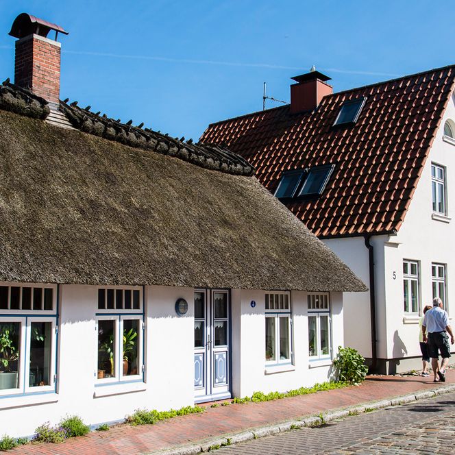 Reetdachhaus in Maasholm