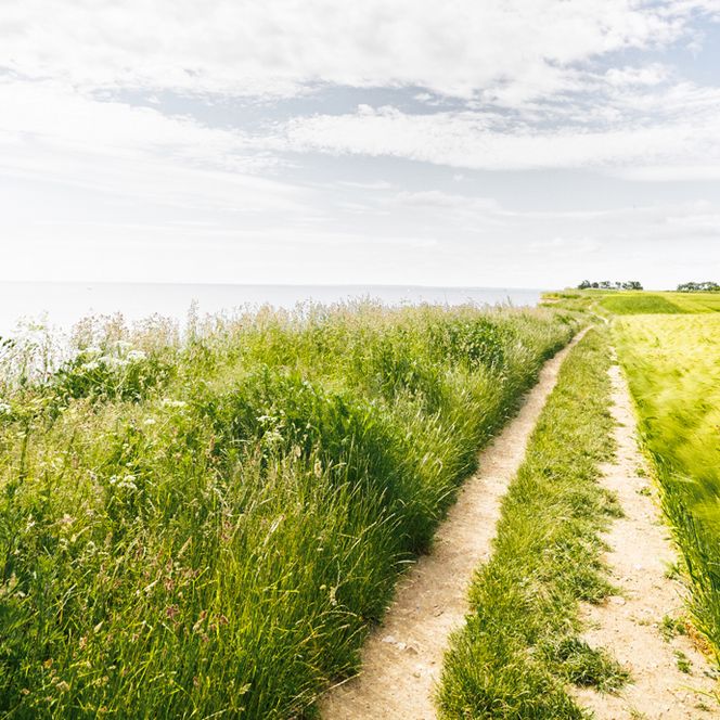 Hasselberg an der Geltinger Bucht