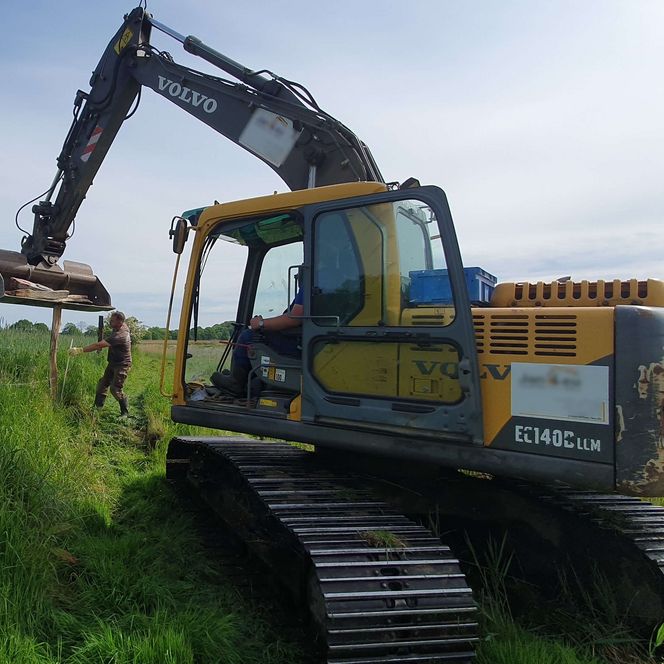 Zaunbau Natura 2000 Ulsnis