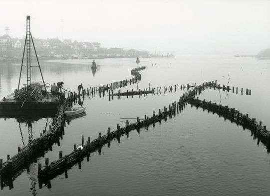 Reparaturteam am Heringszaun in Kappeln