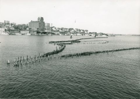 Heringszaun 1976 Sommer teilweise zerstört