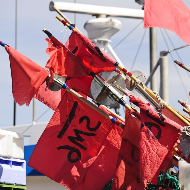 Fischerei und Räucherei Fischerfähnchen