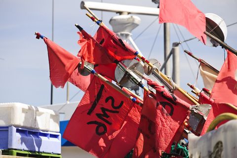 Fischerei und Räucherei Fischerfähnchen