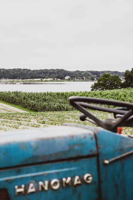 Ein alter blauer Traktor auf einem Feld. Im Hintergrund ist der Meeresarm Schlei und das gegenüberliegende Ufer zu sehen
