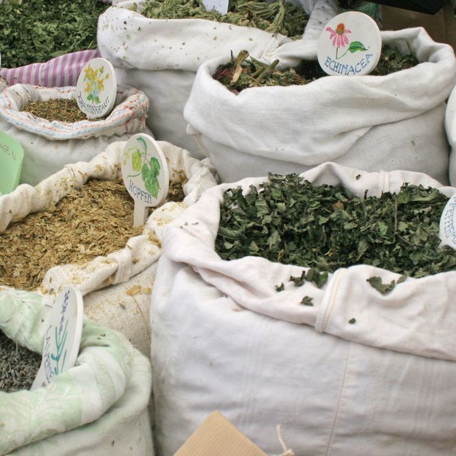 Kräuter auf dem Gottorfer Landmarkt in Schleswig