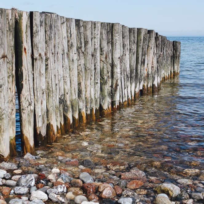 Heringszaun Nahaufnahme