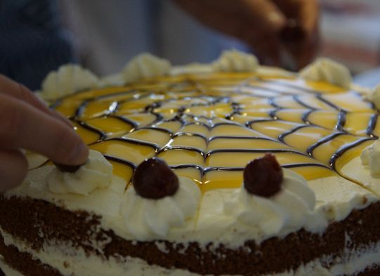 Torte im Café Lindauhof in Boren